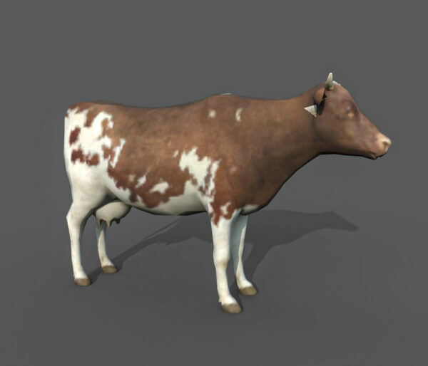cow_brown