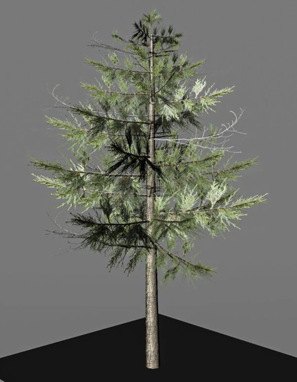 gt_tree_002