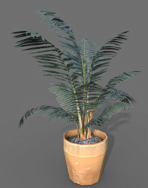 palmpot