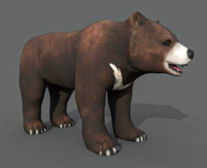 Bear 6