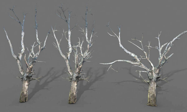 DeadTree