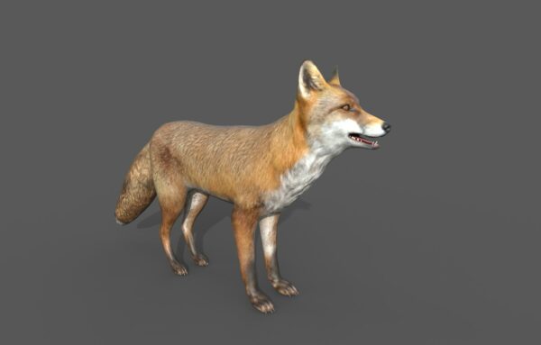 Fox