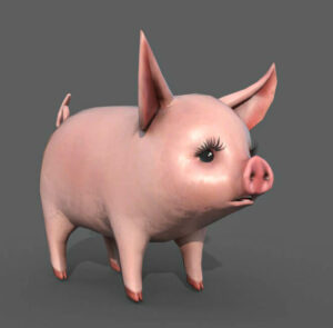 Pig